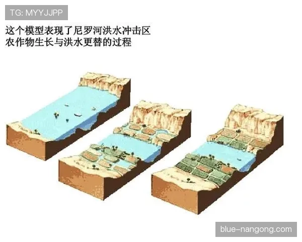 埃及冲击淘汰赛最新分析
